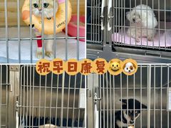 -派美特宠物医院·核磁CT·骨科肿瘤·疑难转诊(沈农禾丰店)