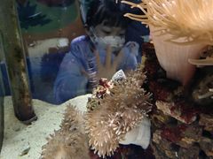 -太平洋海底世界