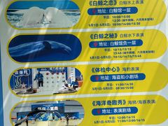 -秦皇岛乐岛海洋王国