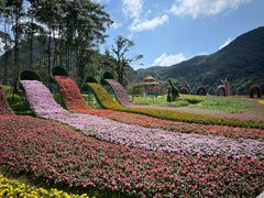 -广州市石门国家森林公园