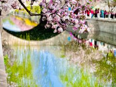 -元大都城垣遗址公园