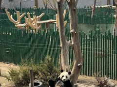 -沈阳森林动物园