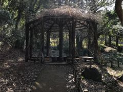 -汉拿树木园