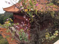-南沙天后宫景区