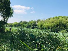 -新江湾城公园
