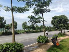 -飞来湖湿地公园