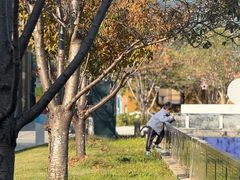 -新天地活力PARK