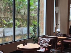 -云碧峰国家森林公园