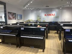 -柏斯音乐艺术中心·钢琴·吉他(世纪金源店)