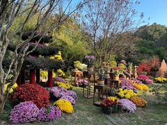 -杭州植物园