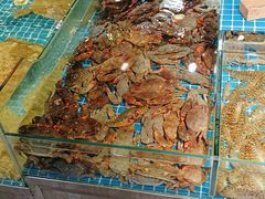 -即墨印象