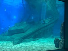 -福州罗源湾海洋世界旅游区