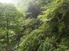 -藏龙百瀑风景区