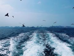 -海驴岛(荣成市)