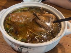 -椿不老