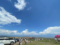 -新疆那拉提国家旅游度假区