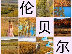 -呼伦贝尔大草原