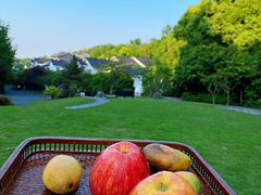 -杭州海华满陇度假酒店