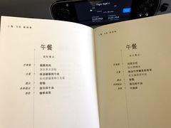 -新加坡航空公司(ION)