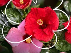 -番禺广场(市桥街道)