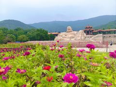 -北京十三陵国家森林公园蟒山景区