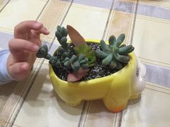 -天源吉布世温泉水乐园