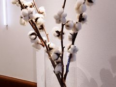 -喜茶(中山白水井店)