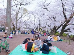 -井之头恩赐公园