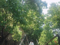 -东天目山风景区