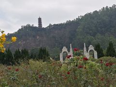 -南沙蒲洲花园