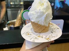 -野人先生现做冰淇淋(北京环宇荟店)