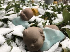 -七彩云南庆沣祥茶庄(金融街店)