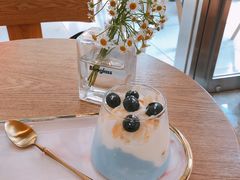 藻蓝蛋白椰子代餐酸奶-Blueglass酸奶(财富购物中心店)