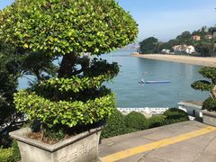 -鼓浪屿钢琴博物馆