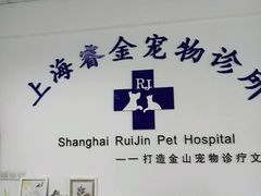 -睿金宠物医院·CT·肿瘤·骨外科