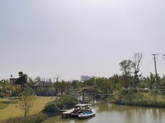 -上海长兴岛郊野公园