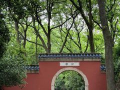 -灵谷景区