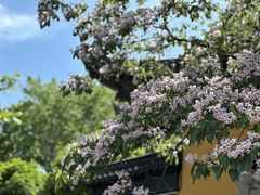 -虞山风景区