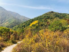 -灵山