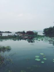 -红馆·发喆院