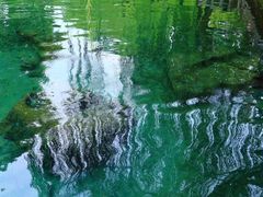-海底捞火锅(振华商厦店)
