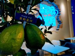 -茶救星球·蔬果茶(东城万达店)