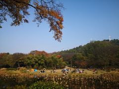 -东湖磨山景区