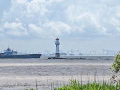 -上海吴淞炮台湾国家湿地公园