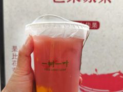 -一树一叶·福建茶档(石鼓路店)