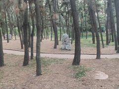 -山东大学(威海校区)