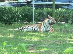 -秦皇岛野生动物园