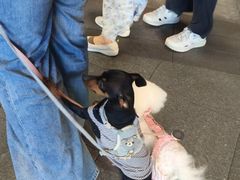 -沈阳铁西万象汇
