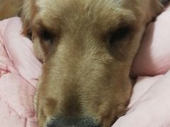 -三把刀修脚店(台东店)