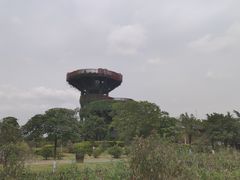 -芒洲湿地公园
